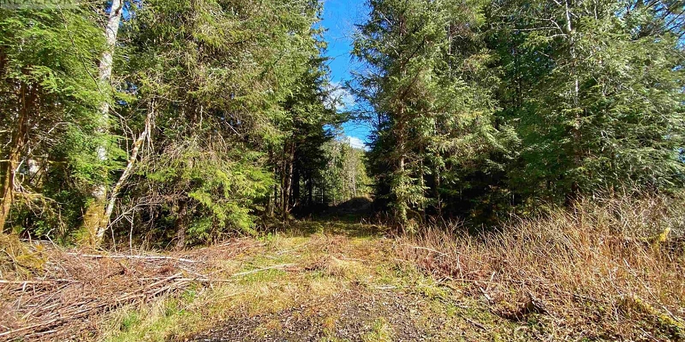 DL 972 HWY 16 Port Edward Photo 28 DL 972 HWY 16 Port Edward Photo 28